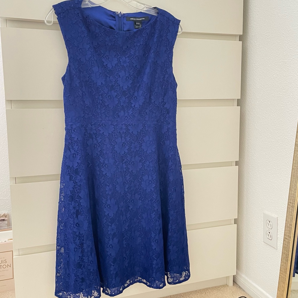 French Connection Blue Floral Lace Dress Brand New
